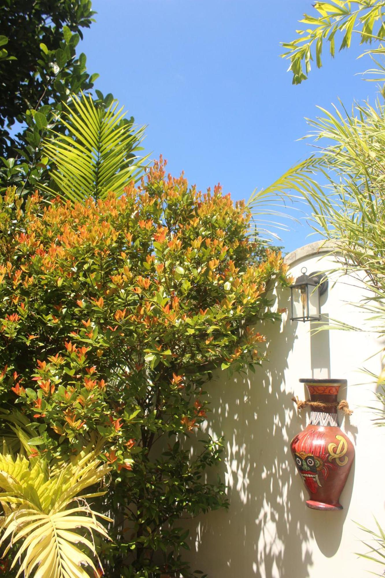 Villa Olde Ceylon Канді Екстер'єр фото