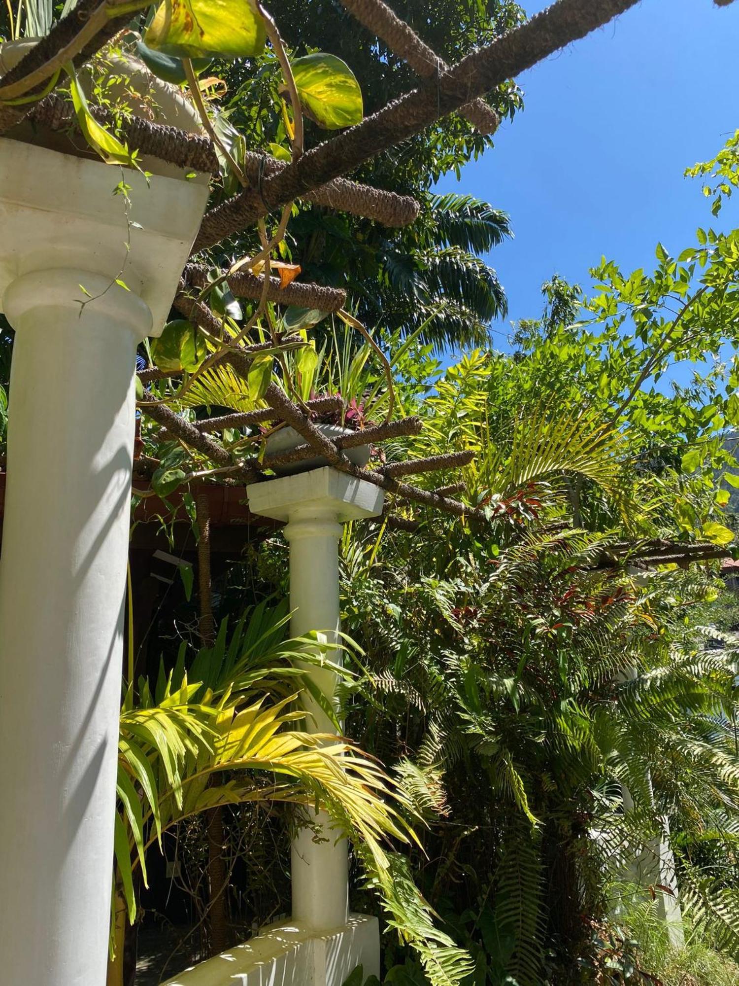 Villa Olde Ceylon Канді Екстер'єр фото